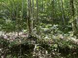 0 Woolum Disappointment Hollow Road - Photo 27