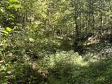 0 Woolum Disappointment Hollow Road - Photo 30