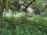 0 Woolum Disappointment Hollow Road - Photo 31