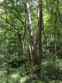 0 Woolum Disappointment Hollow Road - Photo 32