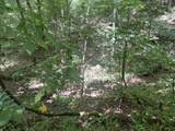 0 Woolum Disappointment Hollow Road - Photo 33