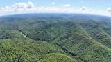 0 Woolum Disappointment Hollow Road - Photo 39