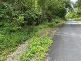 0 Woolum Disappointment Hollow Road - Photo 4