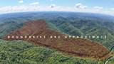 0 Woolum Disappointment Hollow Road - Photo 41