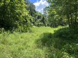 0 Woolum Disappointment Hollow Road - Photo 5
