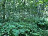 0 Woolum Disappointment Hollow Road - Photo 6