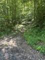 0 Woolum Disappointment Hollow Road - Photo 7