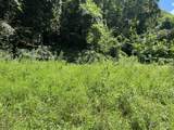 0 Woolum Disappointment Hollow Road - Photo 9