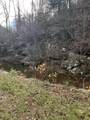 Tract 3 Cow Fork Road - Photo 11