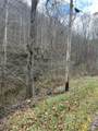 Tract 3 Cow Fork Road - Photo 12