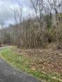 Tract 3 Cow Fork Road - Photo 13