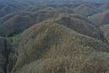 Tract 3 Cow Fork Road - Photo 5