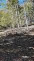 0 Esculapis Fork Road - Photo 20