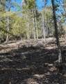 0 Esculapis Fork Road - Photo 21