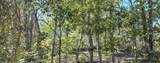 0 Esculapis Fork Road - Photo 25