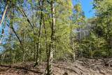 0 Esculapis Fork Road - Photo 32