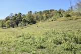 0 Esculapis Fork Road - Photo 4