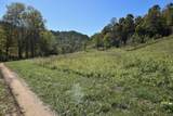 0 Esculapis Fork Road - Photo 5