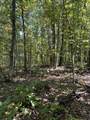 3317 Cow Branch Road - Photo 30