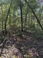 3317 Cow Branch Road - Photo 31
