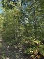 3317 Cow Branch Road - Photo 32
