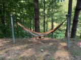 799 Coal Hollow Road - Photo 12