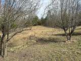 Lot 12 Tom O'ryan Road - Photo 6