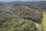 1065 Brushy Fork Road - Photo 9