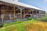 2815 Nest Egg Road - Photo 105