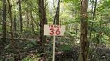 Lot 36 Poplar Ridge Rd - Photo 5