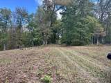 23 acres Davis Lane - Photo 3