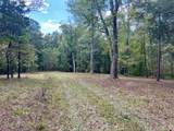 23 acres Davis Lane - Photo 6