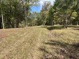 23 acres Davis Lane - Photo 9