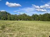 296 acres Hutchison Loy Road - Photo 1