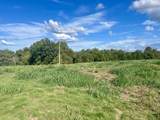 296 acres Hutchison Loy Road - Photo 7