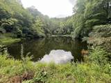 363 Higgins Branch Road - Photo 4