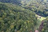 363 Higgins Branch Road - Photo 40