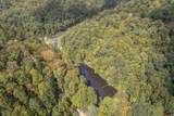 363 Higgins Branch Road - Photo 43