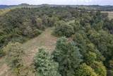 363 Higgins Branch Road - Photo 46