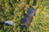 363 Higgins Branch Road - Photo 51