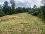 363 Higgins Branch Road - Photo 7