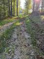 Tract 2 Dunaway Road - Photo 3