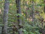 Tract 2 Dunaway Road - Photo 6