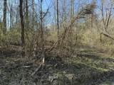 0 Tbd Trail Pines/Edge Lane - Photo 4