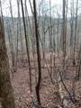 0 Fork Road - Photo 11