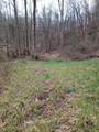 0 Fork Road - Photo 13
