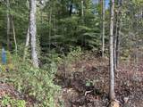0 Indian Creek Road - Photo 10