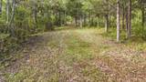 1410 Dry Fork Creek Road - Photo 19