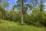 1410 Dry Fork Creek Road - Photo 59