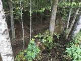 0 Farmhouse Trail - Photo 11